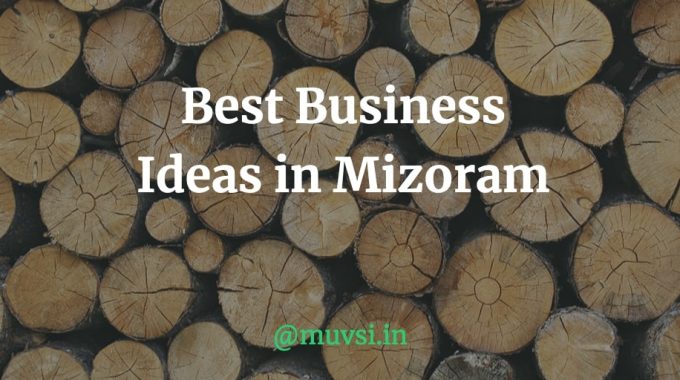 business ideas in mizoram