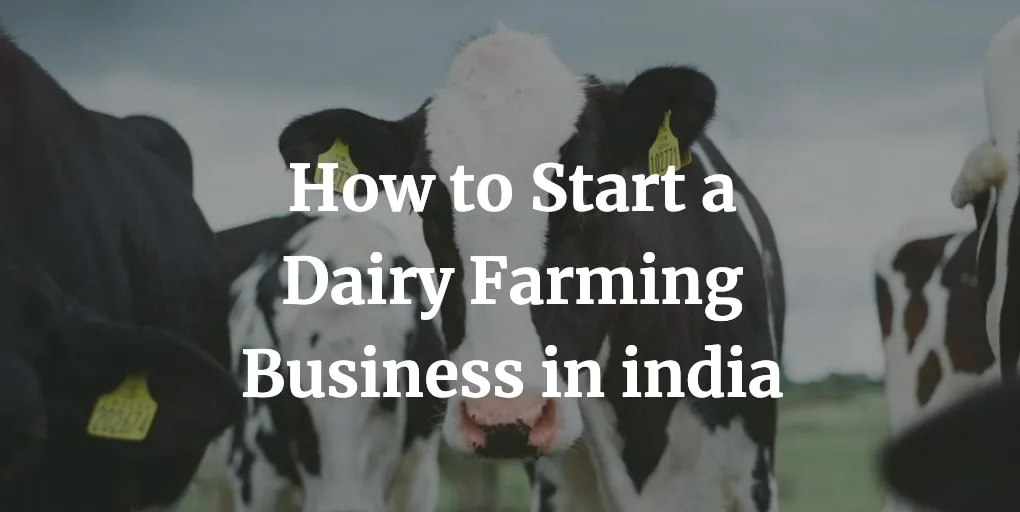 how to start a dairy farming business in India