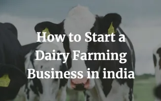 how to start a dairy farming business in India