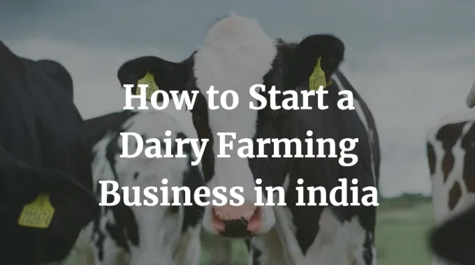 how to start a dairy farming business in India