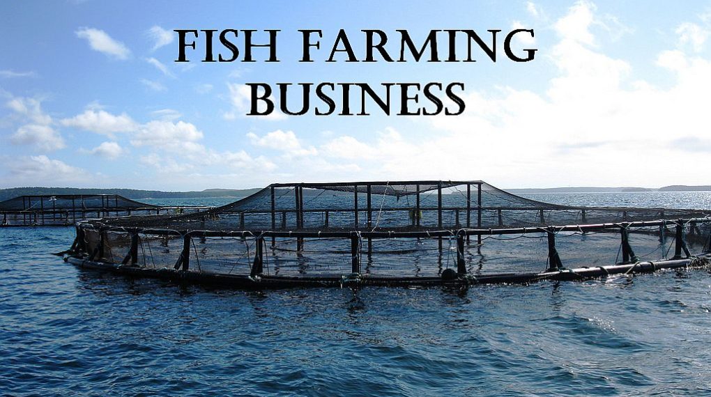 fish farming business ideas