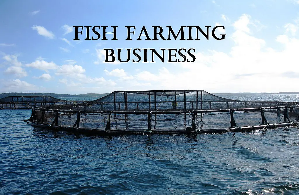 fish farming business ideas