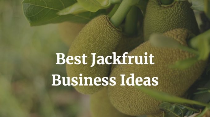 best jackfruit business ideas