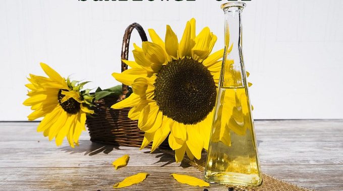 sunflower oil manufacturing business