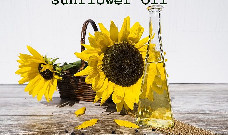sunflower oil manufacturing business