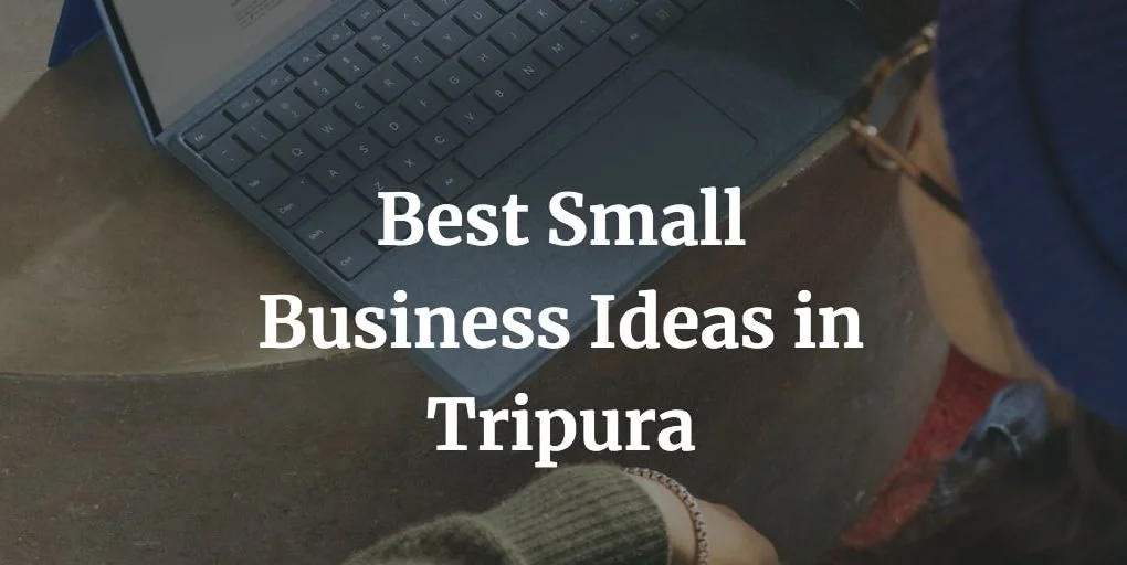 best small business ideas in Tripura