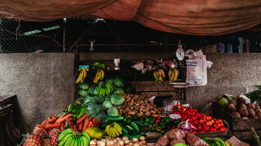 wholesale business in kolkata