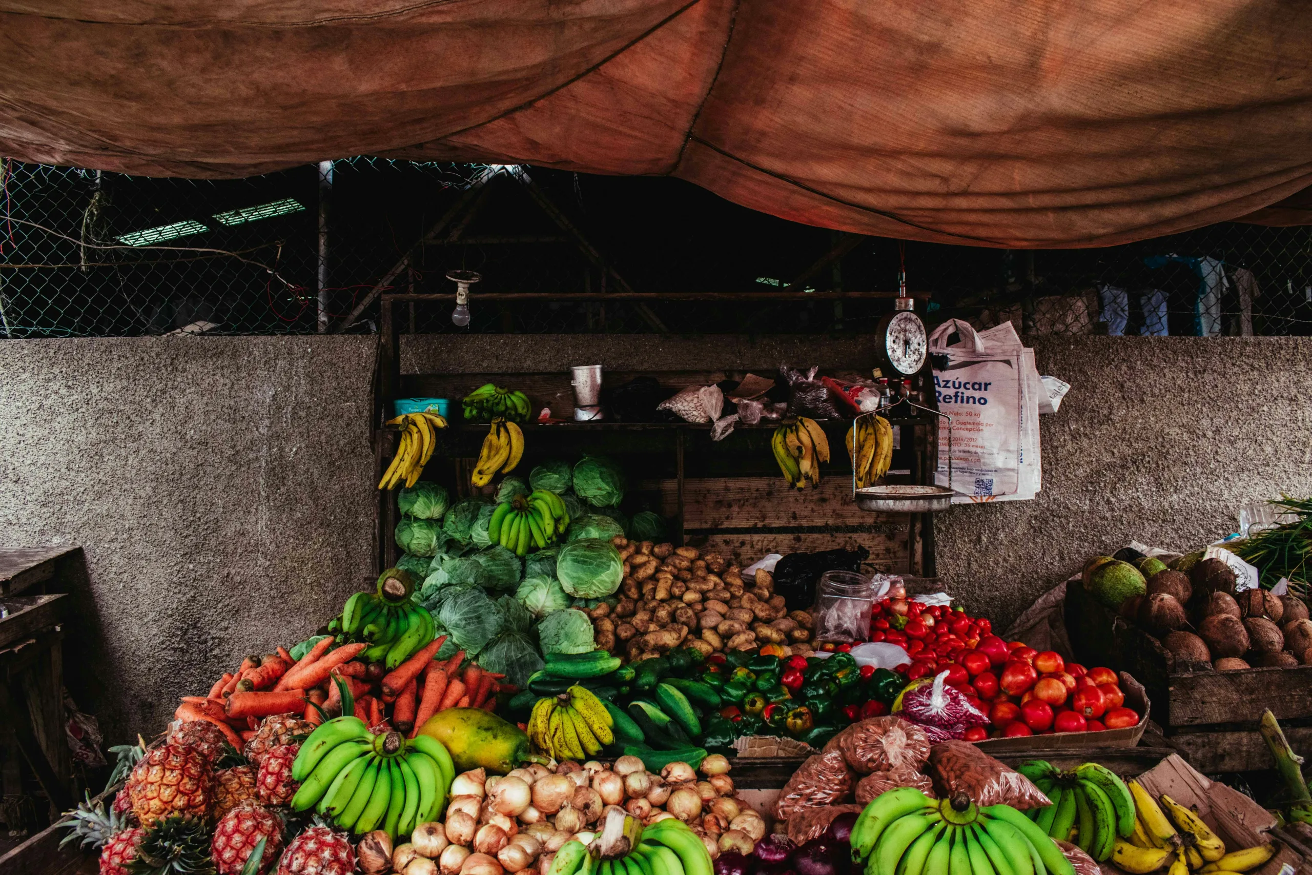 wholesale business in kolkata